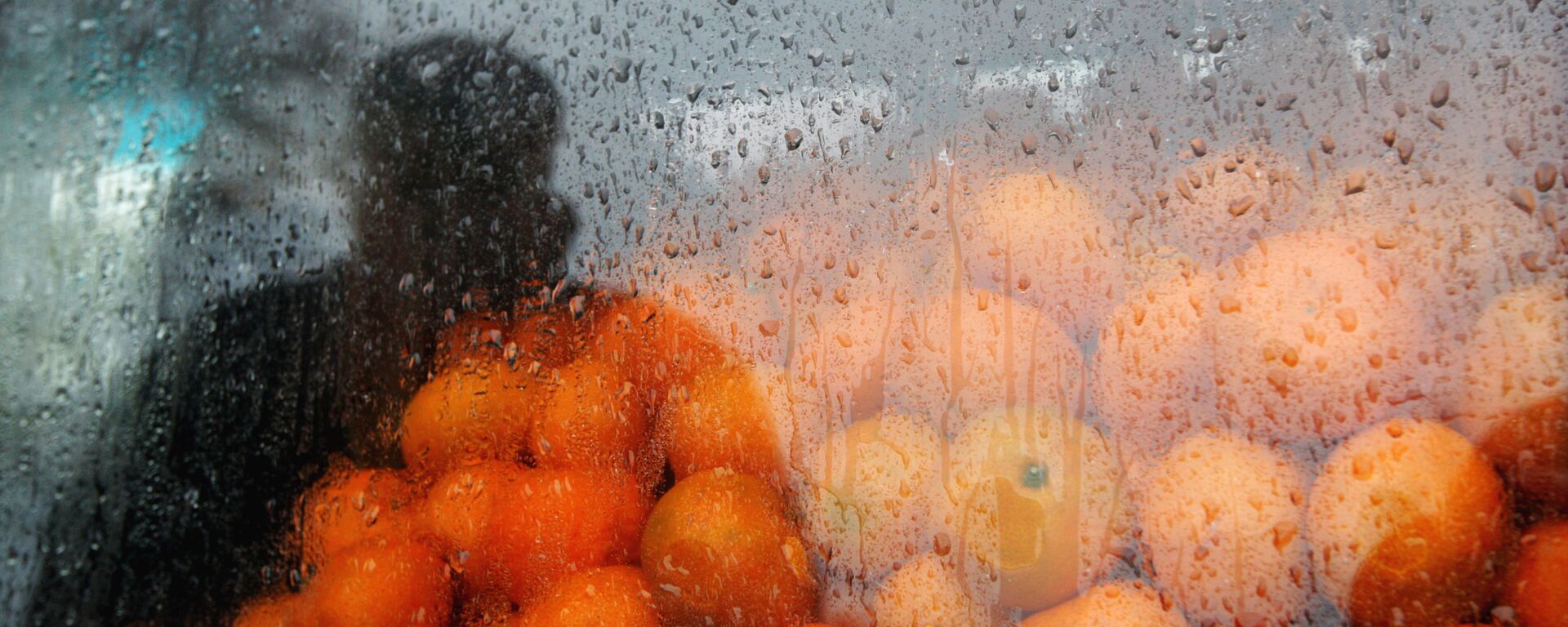 Торговцец мандаринами на оптовом рынке в Абхазии близ КПП Псоу недалеко от границы с Россией - Sputnik Грузия, 1920, 04.11.2021