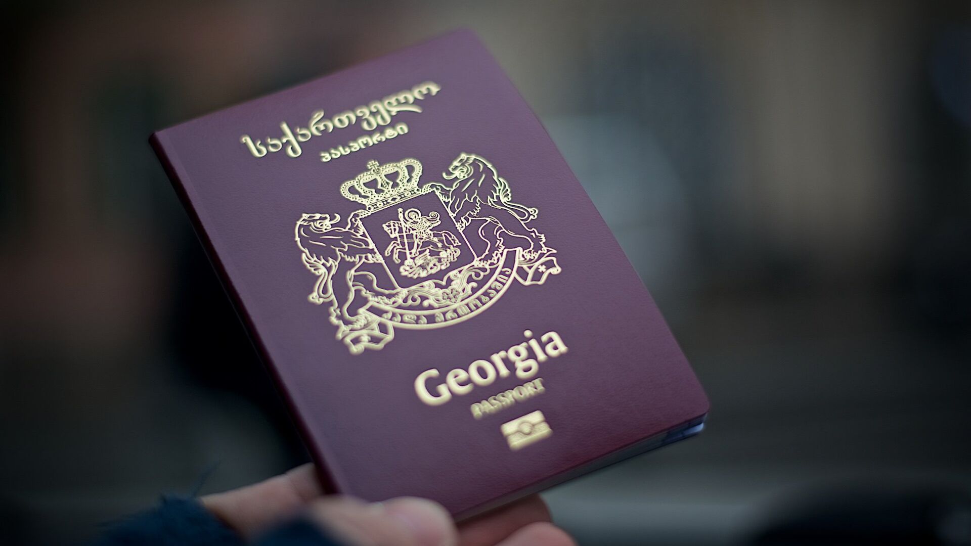 Грузинский международный биометрический паспорт - Sputnik Грузия, 1920, 10.05.2023