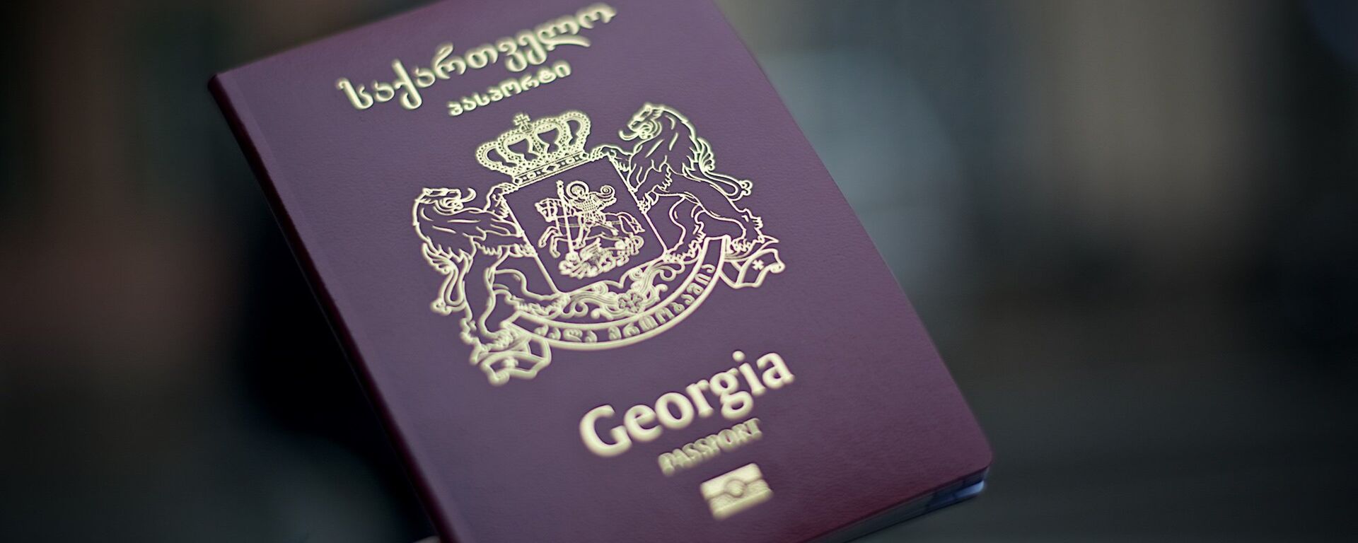 Грузинский международный биометрический паспорт - Sputnik Грузия, 1920, 08.10.2019