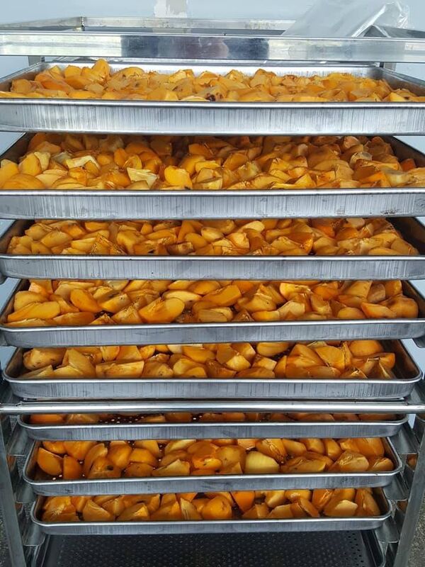 ჩირის საშრობი საწარმო ჩირის საშრობი საწარმო - Sputnik საქართველო