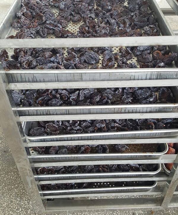 ჩირის საშრობი საწარმო ჩირის საშრობი საწარმო - Sputnik საქართველო