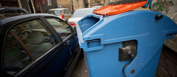 Контейнер для мусора Контейнер для мусора - Sputnik Грузия