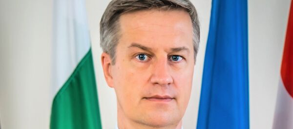 Глава МНЕС в Грузии Эрик Хег - Sputnik Грузия