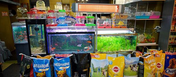 Зоо-Магазин для домашних питомцев - Sputnik Грузия