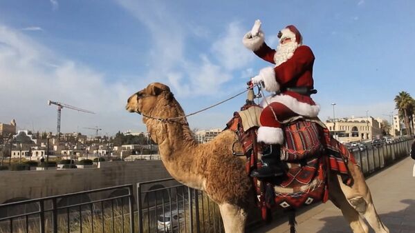 Санта-Клаус прокатился на верблюде по Иерусалиму - Sputnik Грузия