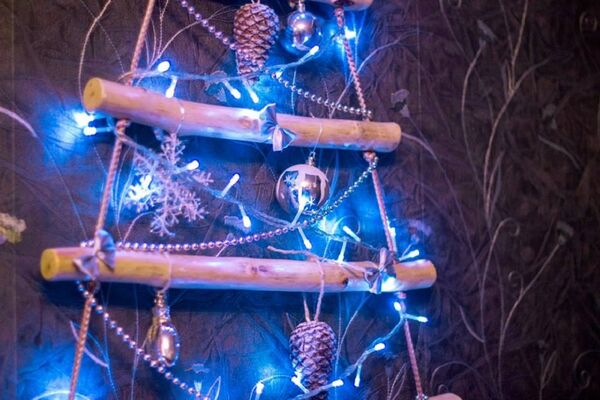 გვითხარით როგორია თქვენი ნაძვის ხე და გეტყვით როგორი ხართ თქვენ გვითხარით როგორია თქვენი ნაძვის ხე და გეტყვით როგორი ხართ თქვენ - Sputnik საქართველო