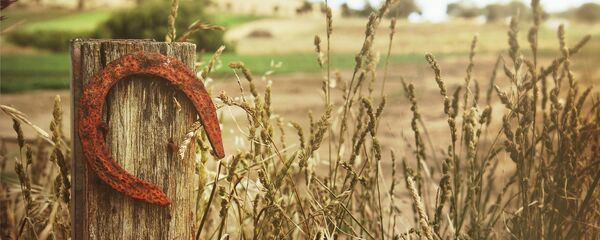 ცხენის ნალი ცხენის ნალი - Sputnik საქართველო