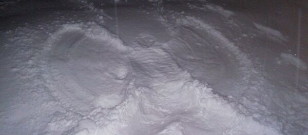 ანგელოზის კვალი თოვლში, ბაკურიანი ანგელოზის კვალი თოვლში, ბაკურიანი - Sputnik საქართველო