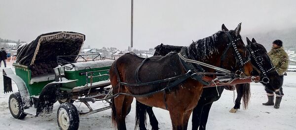Бакуриани Бакуриани - Sputnik Грузия