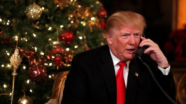 Президент США Дональд Трамп у рождественской елки - Sputnik Грузия