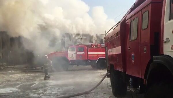 Пожар в Новосибирской области - Sputnik Грузия