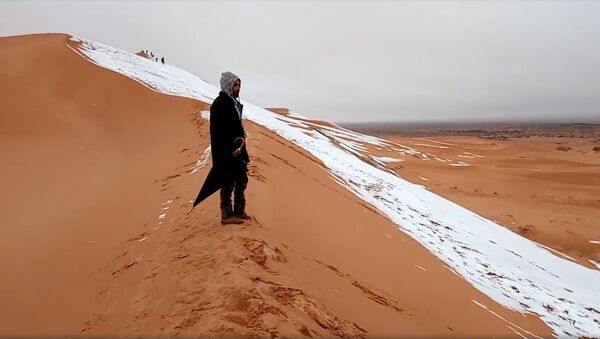 Человек смотрит на выпавший снег в пустыне Сахара - Sputnik Грузия