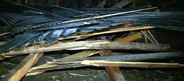 სტიქია - Sputnik საქართველო