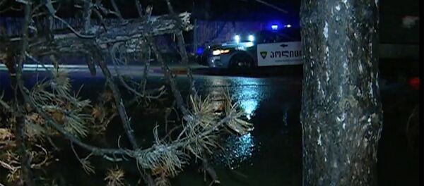 ძლიერი ქარისა და წვიმის შედეგები - Sputnik საქართველო