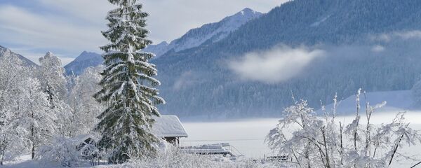 თოვლიანი პეიზაჟი - Sputnik საქართველო