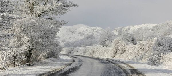 Зимний пейзаж на одной из дорог Грузии Зимний пейзаж на одной из дорог Грузии - Sputnik Грузия