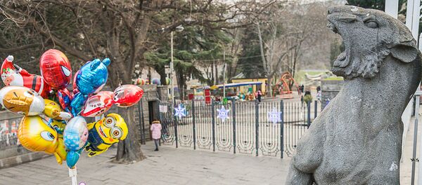 ზოოპარკის შესასვლელი ზოოპარკის შესასვლელი - Sputnik საქართველო