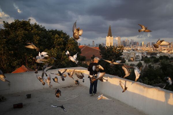 Девушка кормит птиц на крыше жилого здания в Тель-Авиве - Sputnik Грузия