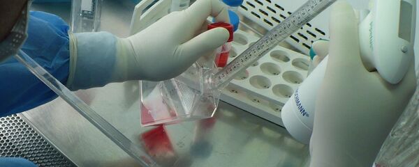 Стволовые клетки - Sputnik Грузия