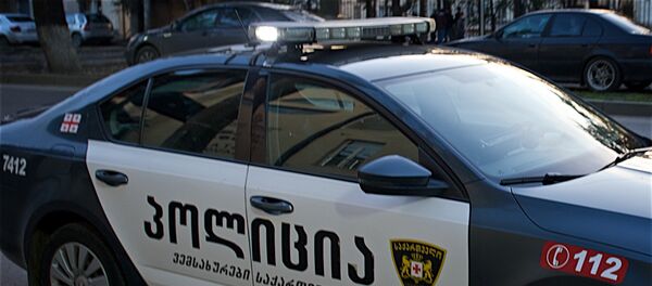 პატრული პატრული - Sputnik საქართველო