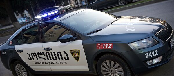 საპატრულო პოლიცია საპატრულო პოლიცია - Sputnik საქართველო