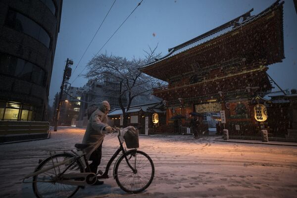 Человек идет на велосипеде по Токио во время снегопада. Японское метеорологическое агентство впервые за четыре года объявило тревогу перед надвигающимся снегопадом, призвав жителей Токио не покидать дома - Sputnik Грузия
