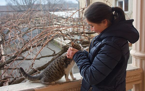Участница проекта Ты супер! Нана Вардзелашвили играет с кошкой у себя дома - Sputnik Грузия