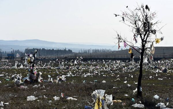 Загрязненная мусором территория Лило - Sputnik Грузия
