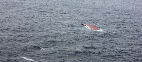 Поиски моряков с затонувшего судна Шанс-101 в Японском море - Sputnik Грузия