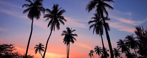 მზის ჩასვლა შრი-ლანკაზე მზის ჩასვლა შრი-ლანკაზე - Sputnik საქართველო