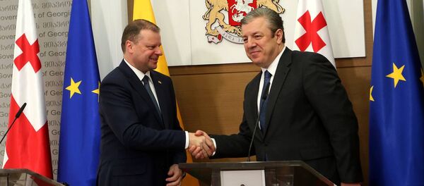 საულიუს სკვერნელისი და გიორგი კვირიკაშვილი საულიუს სკვერნელისი და გიორგი კვირიკაშვილი - Sputnik საქართველო