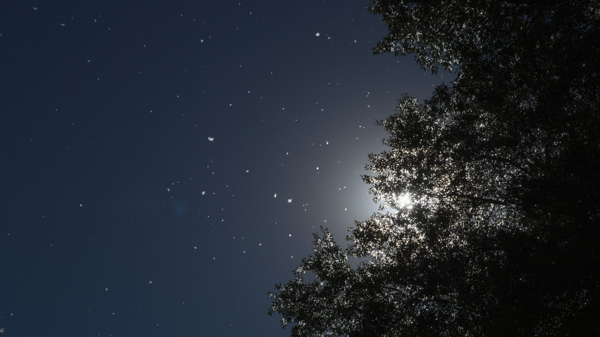 Ночное звездное небо - Sputnik Грузия, 1920, 22.07.2021