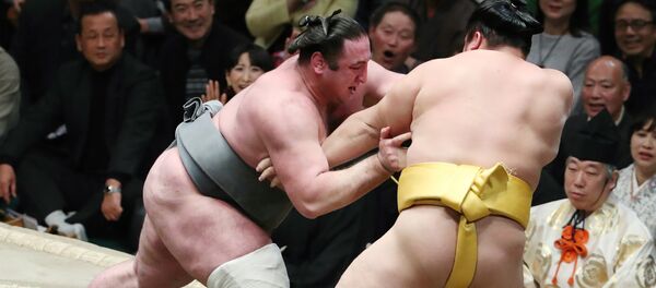 Грузинский сумоист Леван Горгадзе (Тотиносин) стал победителем турнира на Кубок императора - Sputnik Грузия