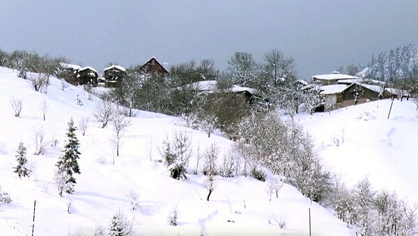 Снег в высокогорном Хулойском районе Аджарии - Sputnik Грузия