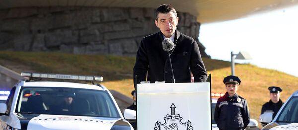 Глава МВД Георгий Гахария выступает на церемонии передачи гибридных и электромобилей полиции Глава МВД Георгий Гахария выступает на церемонии передачи гибридных и электромобилей полиции - Sputnik Грузия