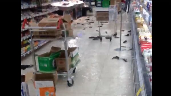 В гипермаркете Карфур разбился аквариум с рыбой - кадры очевидца - Sputnik Грузия