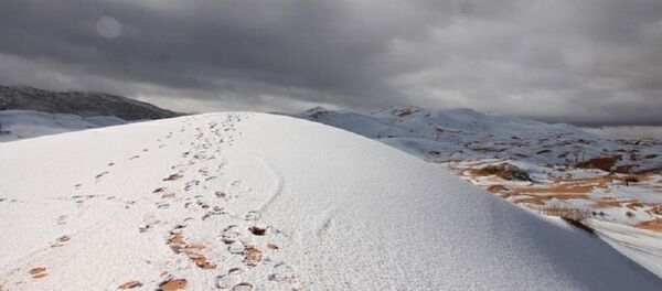 თოვლი საჰარაში - Sputnik საქართველო