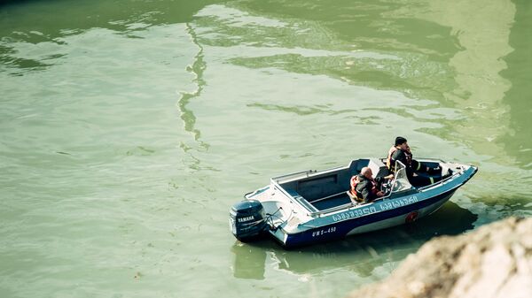 Спасательная служба ведет поиски на реке Кура. Архивное фото - Sputnik Грузия