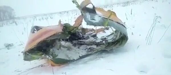 Видео с места падения пассажирского самолета Ан-148 в Подмосковье - Sputnik Грузия