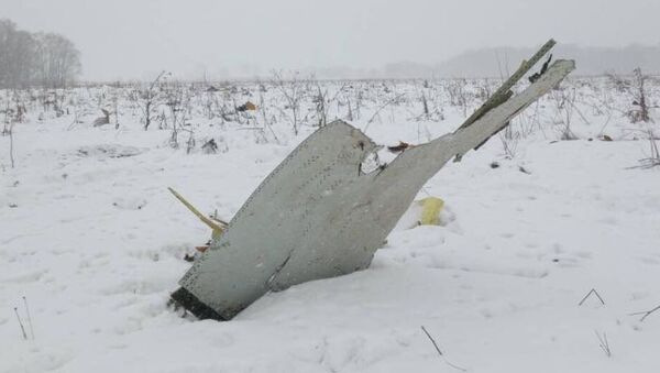 Крушение самолета Ан-148 в Подмосковье - Sputnik Грузия