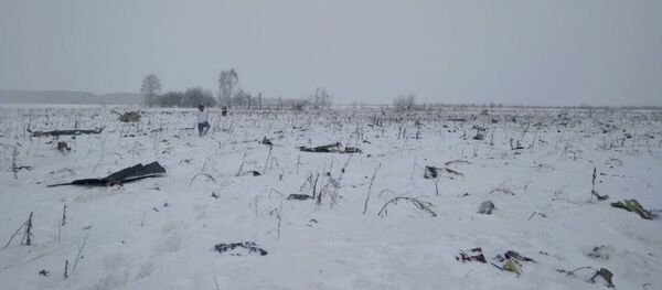 Место крушения самолета Ан-148 в Подмосковье - Sputnik Грузия