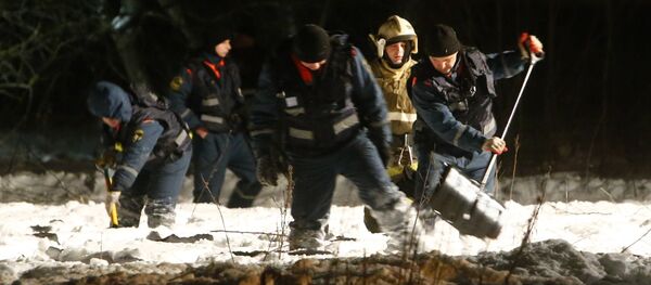 Представители чрезвычайных служб ищут тела погибших на месте крушения самолета Ан-148 в Подмосковье - Sputnik Грузия