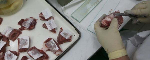 Контроль качества мяса Контроль качества мяса - Sputnik Грузия