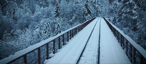 В Бакуриани на кукушке: репортер Sputnik сняла поездку на видео - Sputnik Грузия