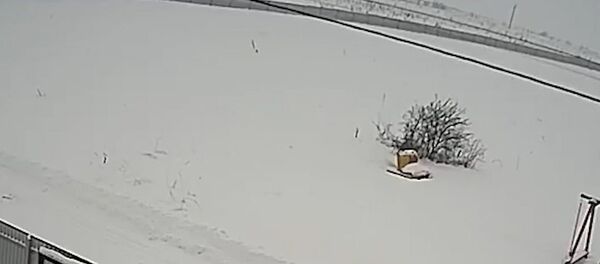 Момент крушения АН-148 попал на камеру видеонаблюдения - Sputnik Грузия