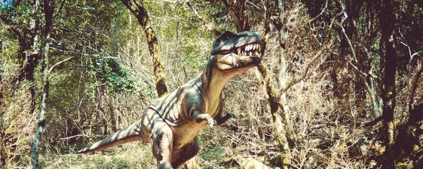 Динозавтр в заповеднике Сатаплия Динозавтр в заповеднике Сатаплия - Sputnik Грузия