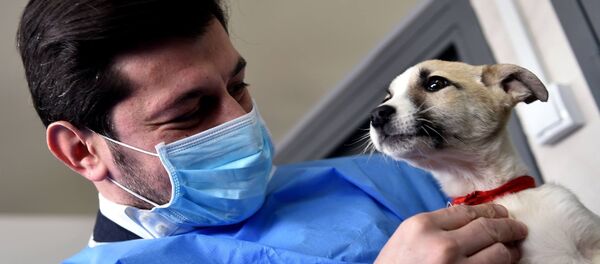 კახა კალაძე ცხოველთა მონიტორინგის სააგენტოს თავშესაფარში კახა კალაძე ცხოველთა მონიტორინგის სააგენტოს თავშესაფარში - Sputnik საქართველო