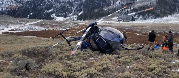 Исследовательский вертолет, сбитый оленем - Sputnik Грузия