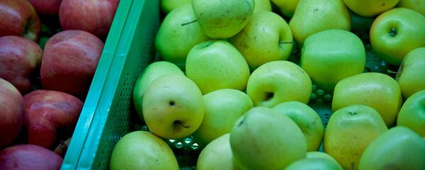 ვაშლი ვაშლი - Sputnik საქართველო