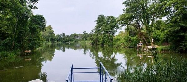 Национальный парк Колхети - Sputnik Грузия